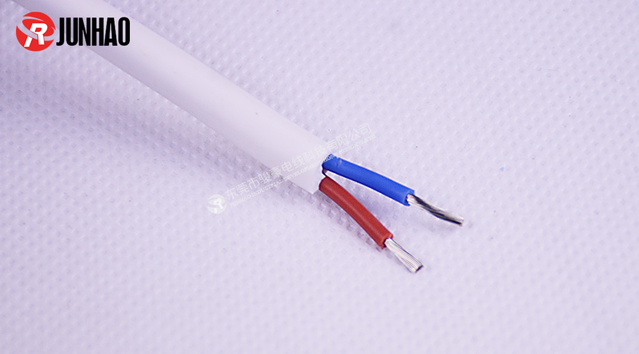 耐高溫白色二(èr)插電源線產品圖